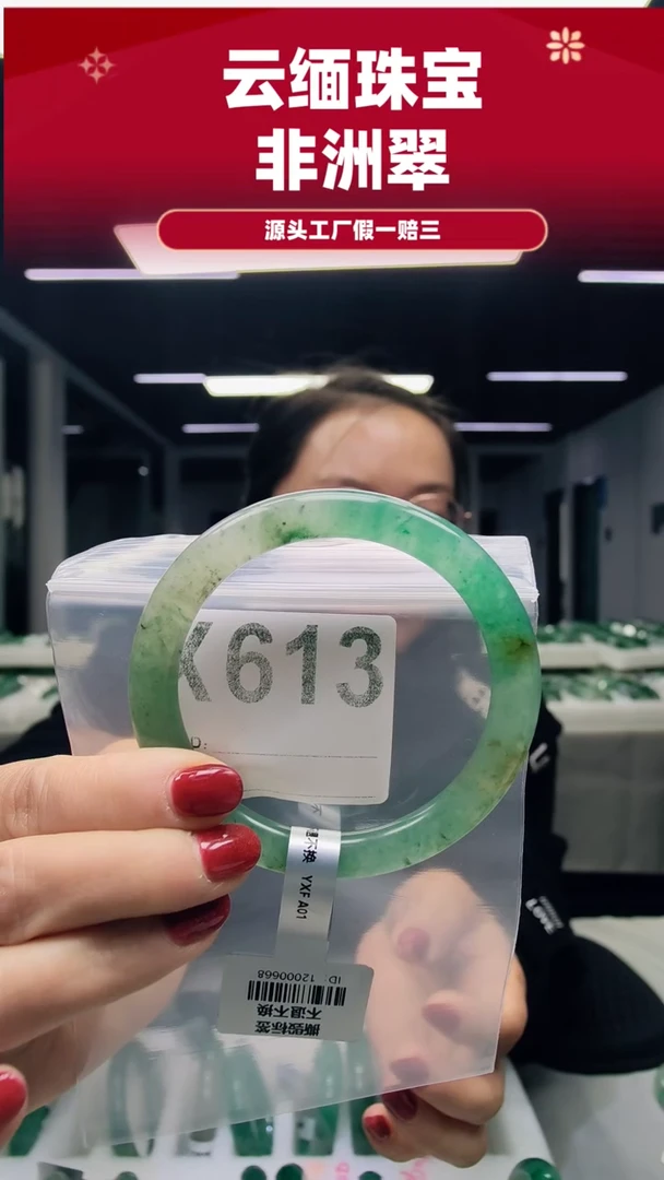 未镶嵌手镯石英质玉（非洲翠）61圈口X613