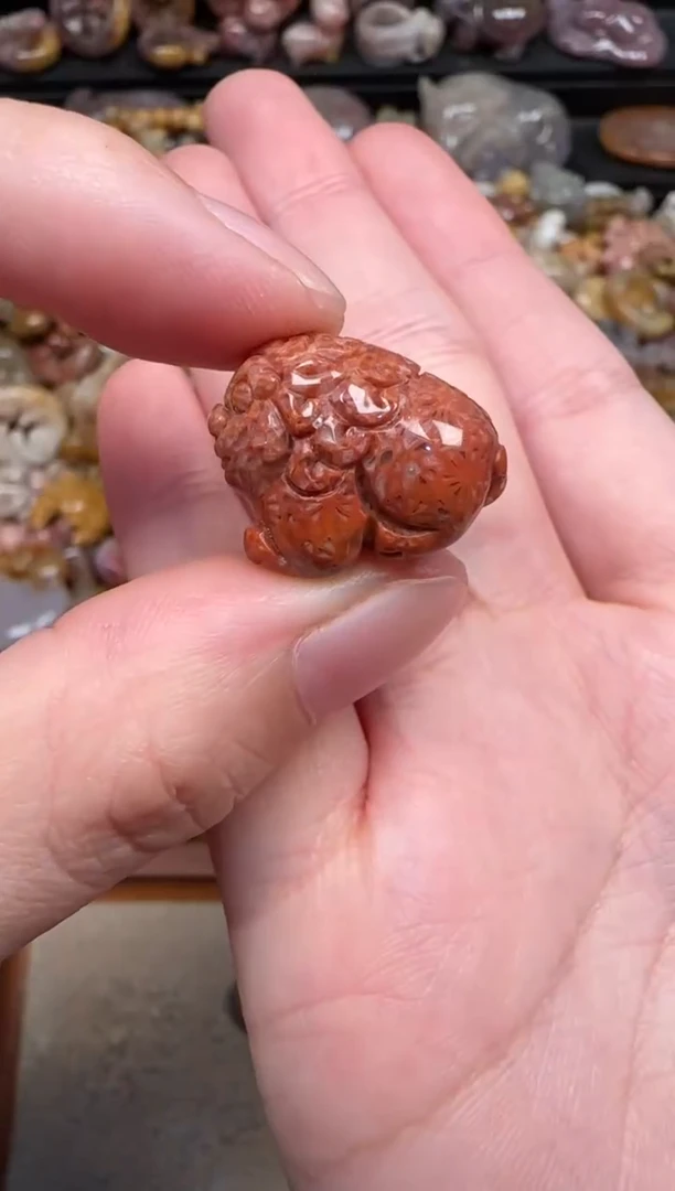 颈饰未镶嵌硅化珊瑚（珊瑚玉）176