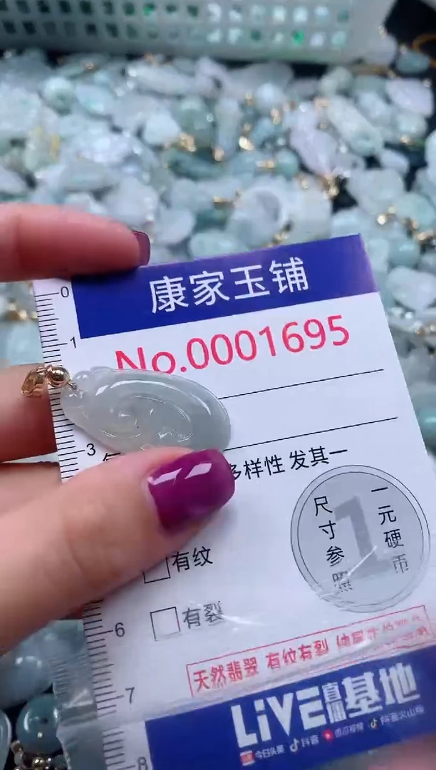 颈饰未镶嵌翡翠1695