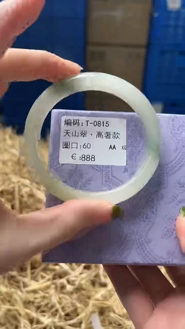 未镶嵌手镯石英质玉T0815