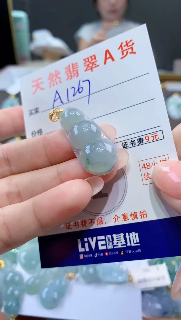 颈饰未镶嵌翡翠天然翡翠A货挂件