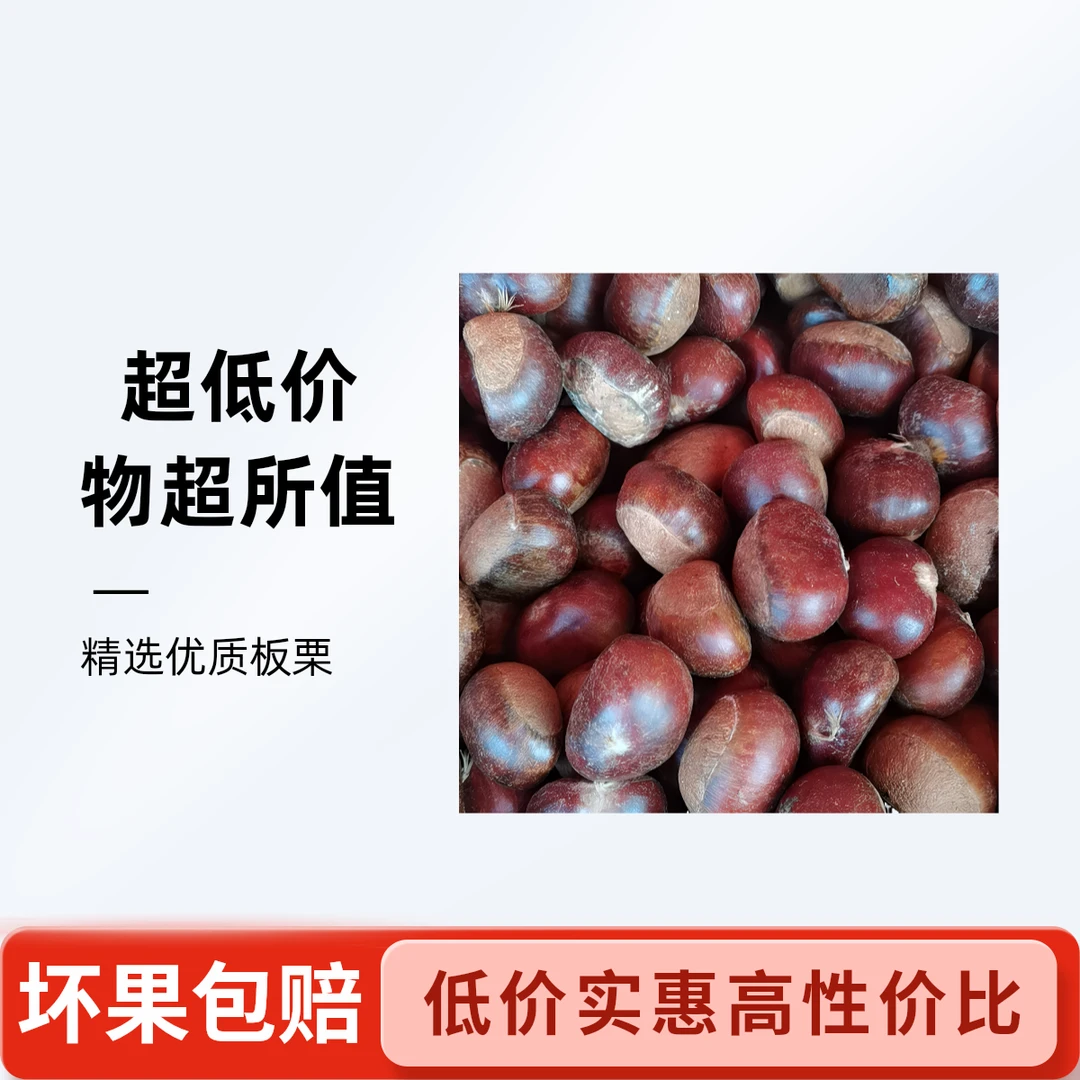 纯正野生板栗新鲜带壳板栗粉糯香甜坏果包赔板栗