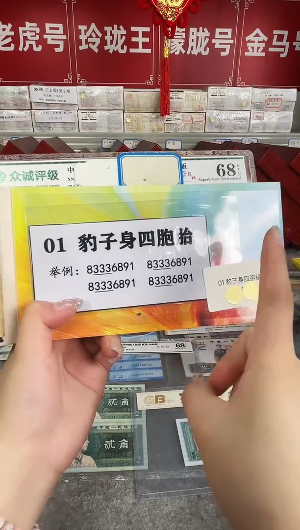 01豹子身四胞胎礼册