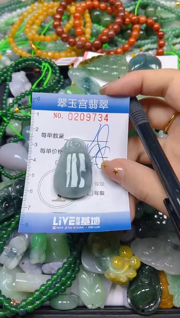颈饰未镶嵌翡翠闪购C0209734