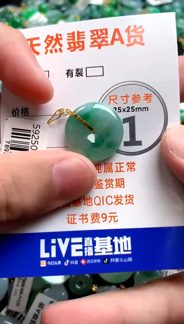 颈饰18K金镶嵌翡翠0298533411