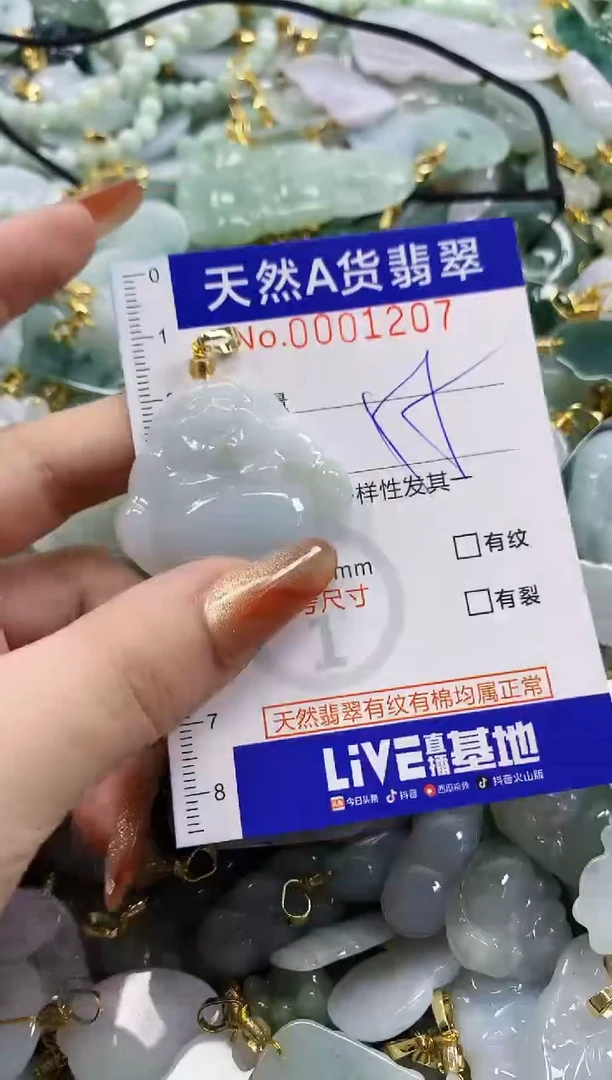 颈饰未镶嵌翡翠天然A货翡翠