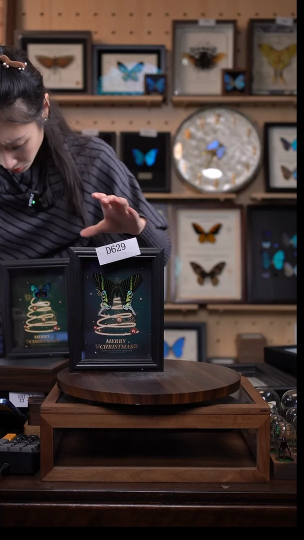 微瑕蝴蝶标本摆件一口价d629