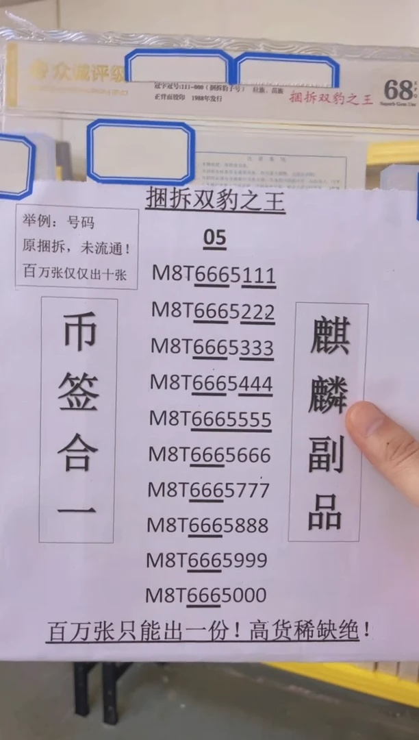 双豹子【捆拆双豹之王】