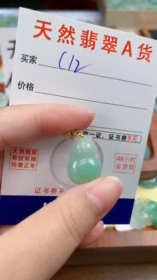 颈饰未镶嵌翡翠天然A货翡翠挂件