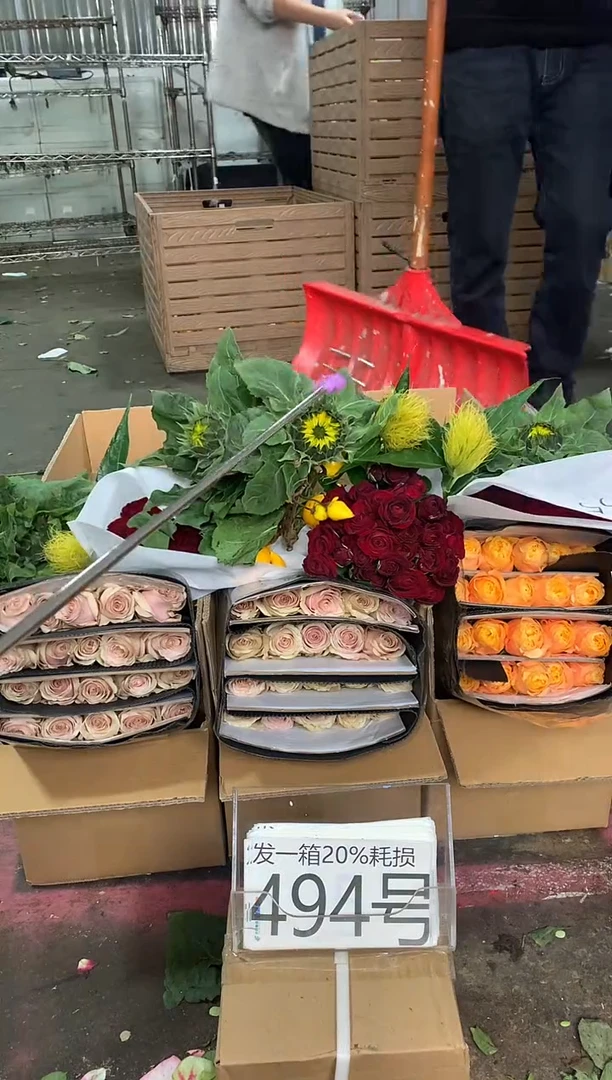 494号♥含20%耗损发一箱