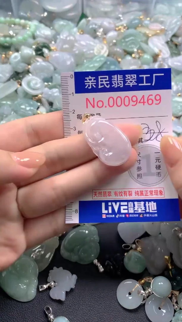 颈饰未镶嵌翡翠9469