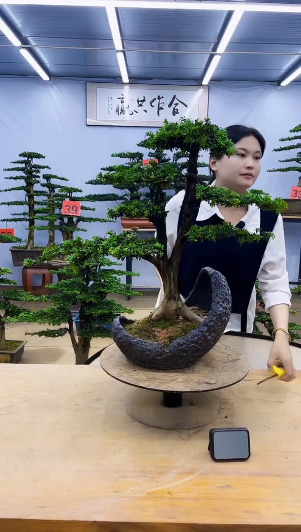 无花朵一物一拍，所见即所得