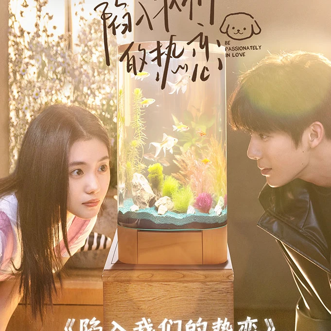 【嘚嘚抓男女主】【陷入我们的热恋-不止热恋主题收藏卡】