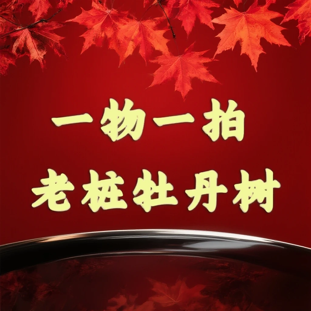 【一物一拍】牡丹树观赏芍药牡丹地栽庭院种植 花卉