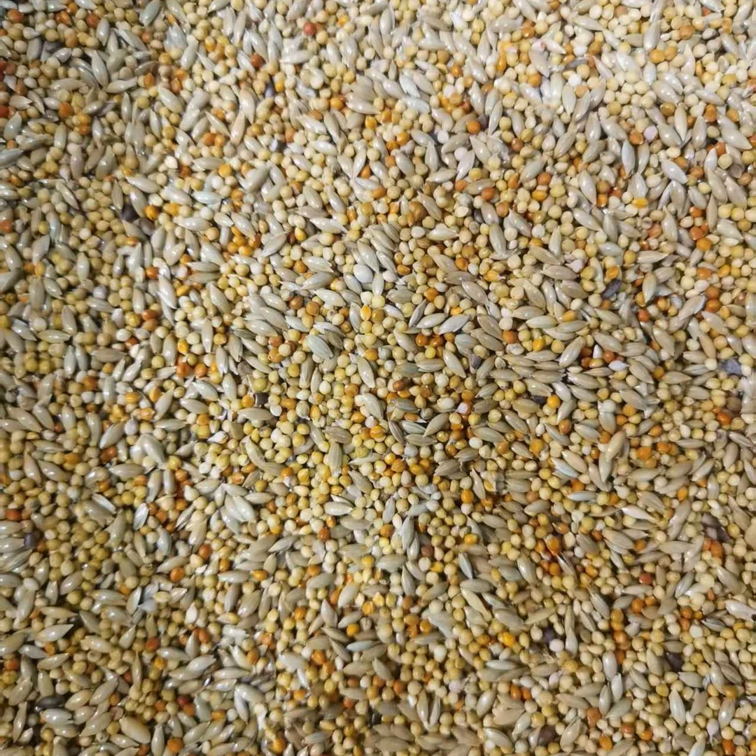 自配牡丹鹦鹉种子粮（主要成分：加纳利子、黄谷子、红谷子、麻子）