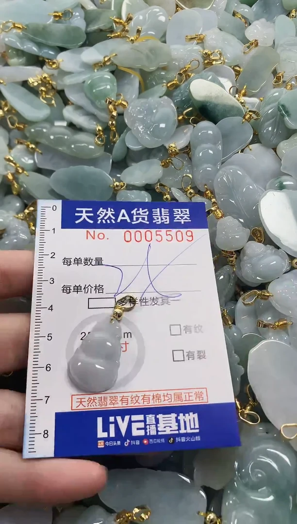 颈饰未镶嵌翡翠天然a货翡翠
