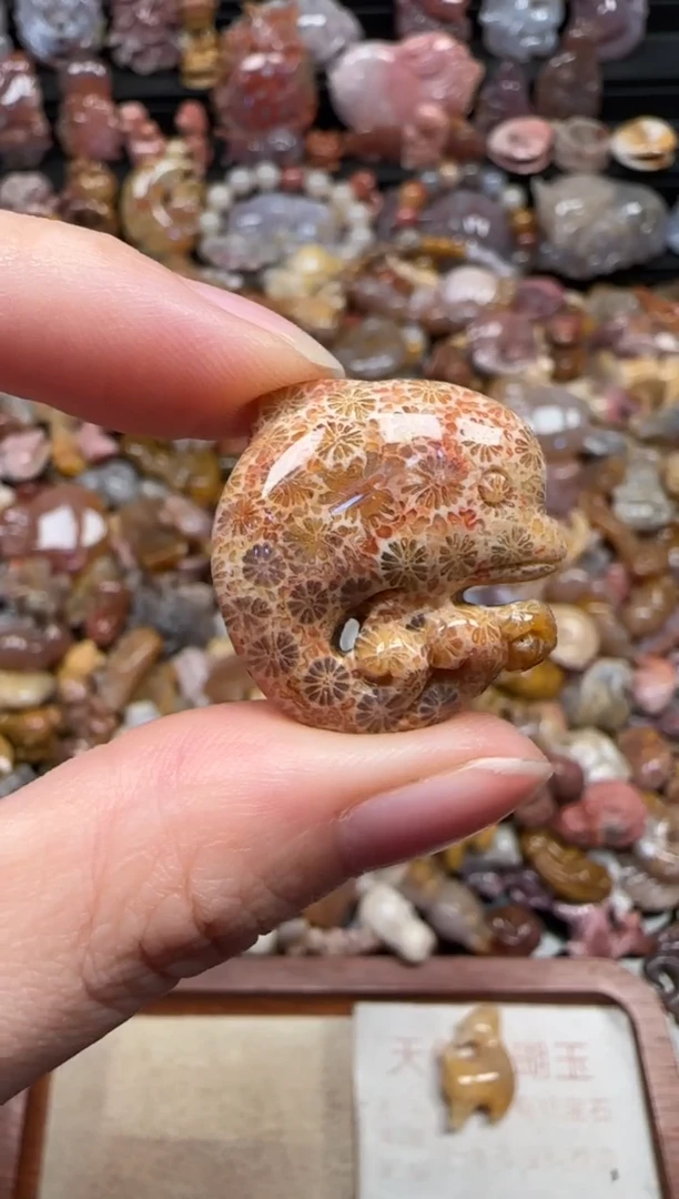 颈饰未镶嵌硅化珊瑚（珊瑚玉）854