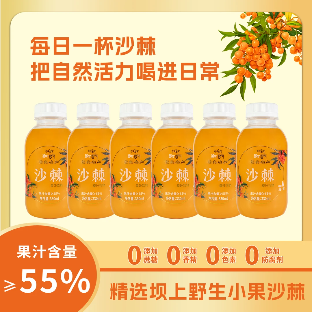 登真启加 新鲜小果沙棘330ml*6瓶/箱