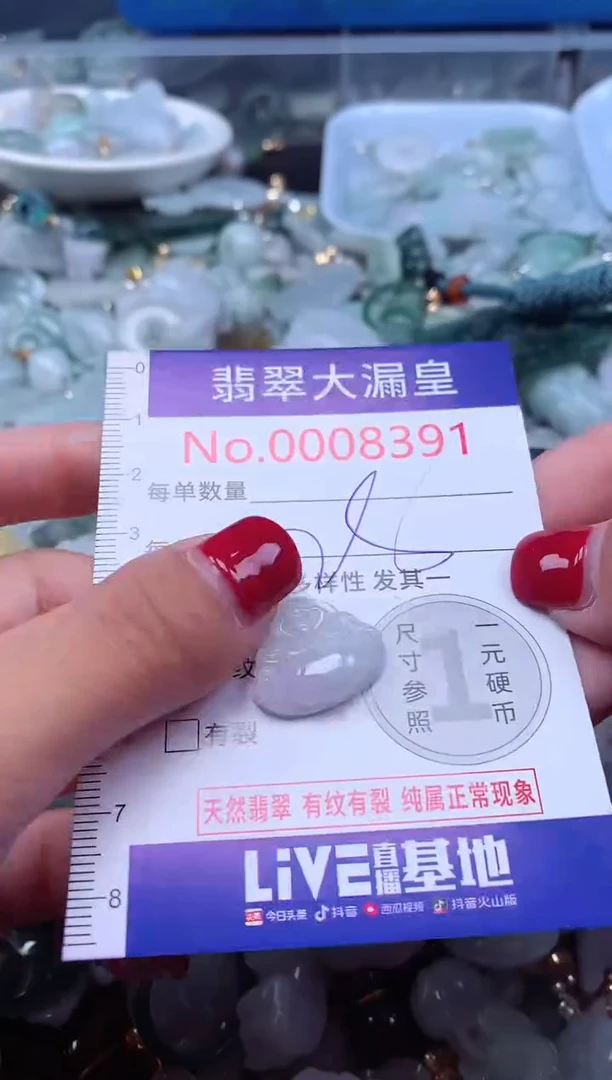 颈饰未镶嵌翡翠8391