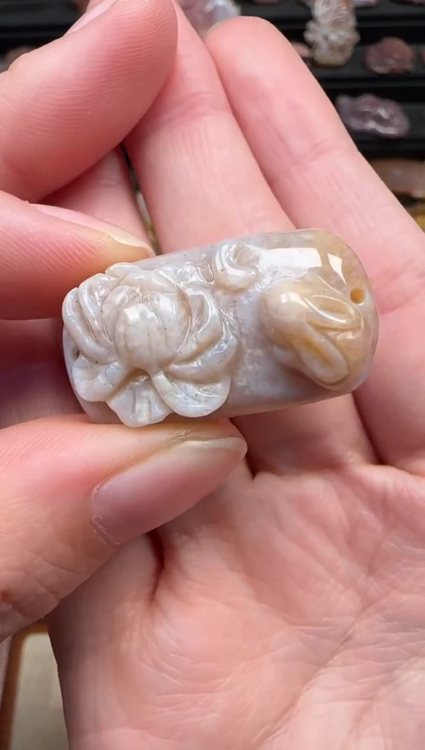 颈饰未镶嵌硅化珊瑚（珊瑚玉）735