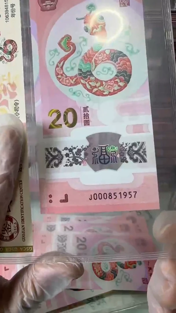 【闪购商品】塑料蛇钞单张！-000851957