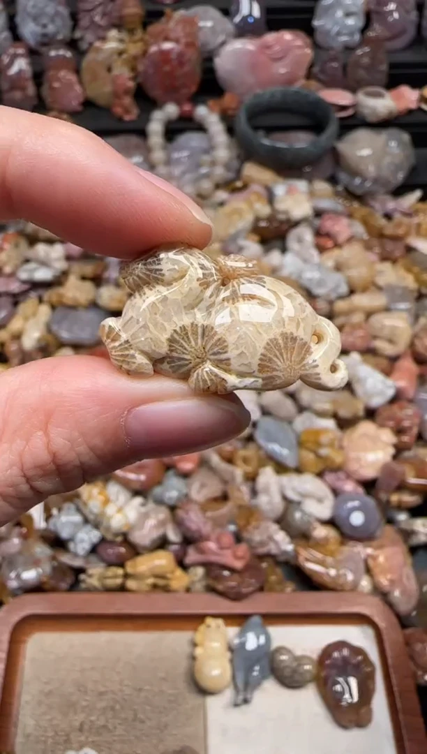 颈饰未镶嵌硅化珊瑚（珊瑚玉）237