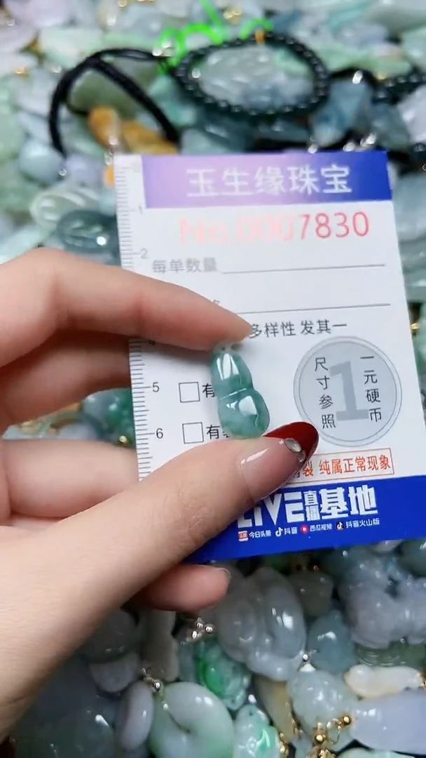 【闪购商品】翡翠颈饰未镶嵌闪购00007830