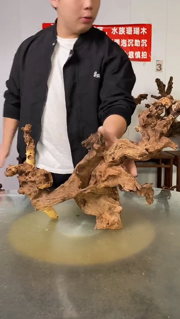 香榧木善****欣金丝红木 羊蹄甲