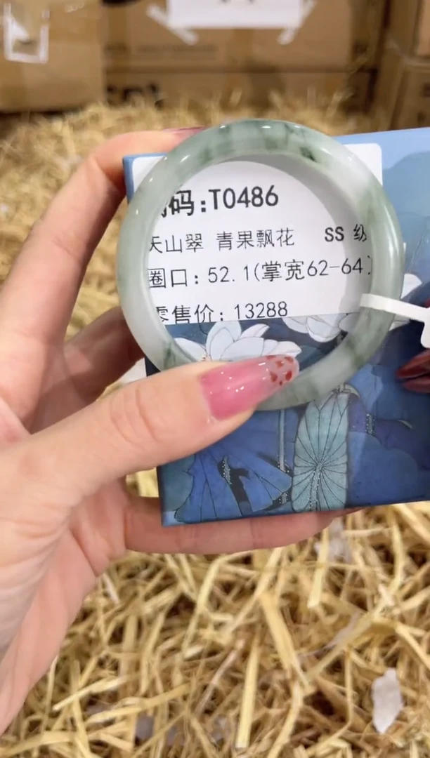 未镶嵌手镯石英质玉T0486