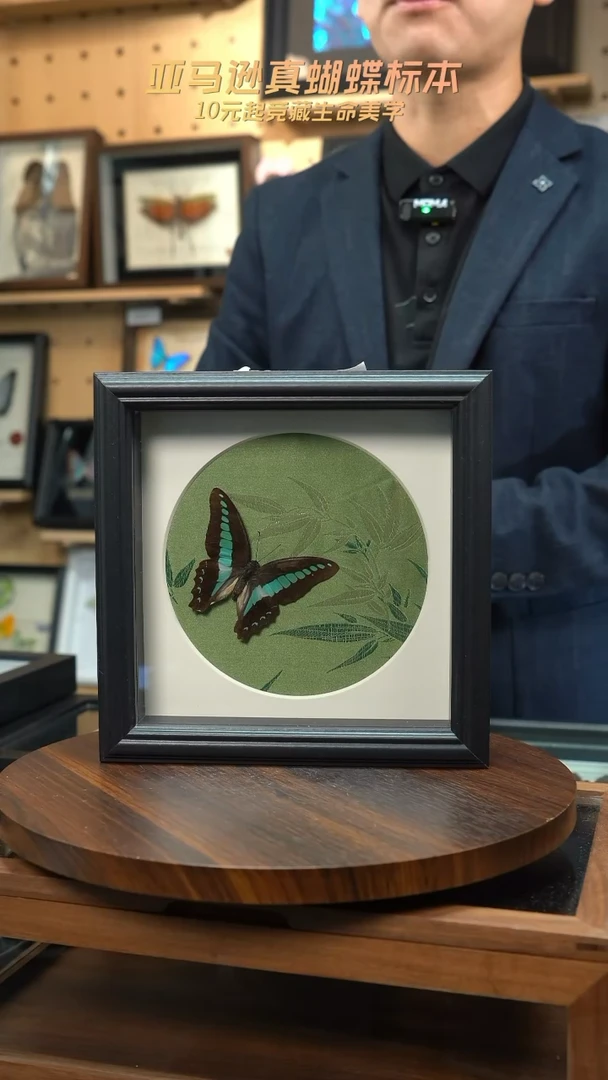 青凤蝶竹子布料底8寸方框