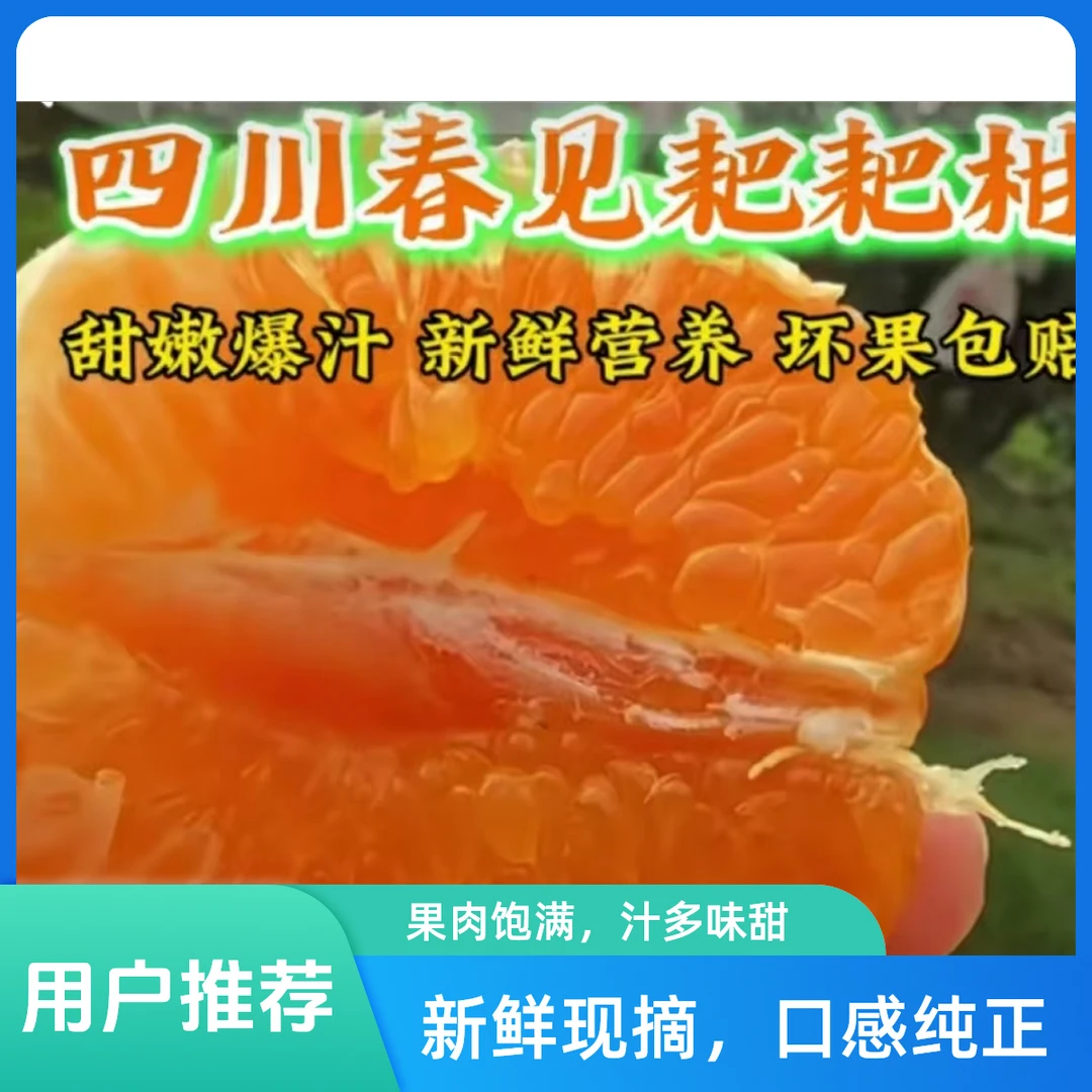 四川春见耙耙柑正宗四川眉山春见粑粑柑新鲜应季水果5-10斤耙耙柑四川省眉山市