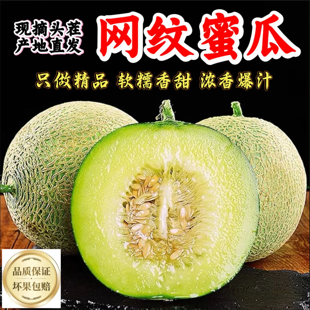d山东玫珑网纹蜜瓜甜瓜软糯香甜绵密多汁清甜爽口当季时令水果