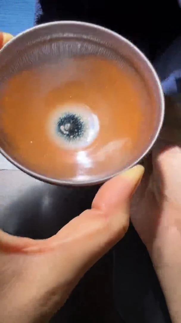 茶盏暨子文高端收藏91