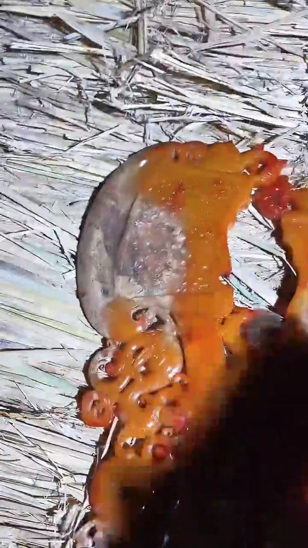 雨****81111111111111