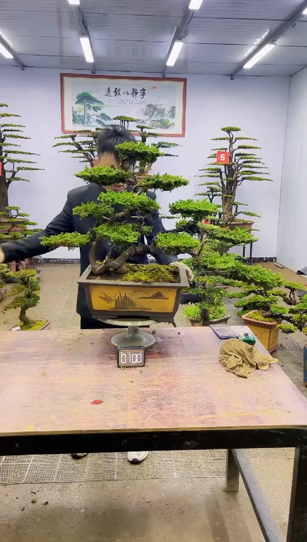 【闪购商品】一物一拍，所见即所得