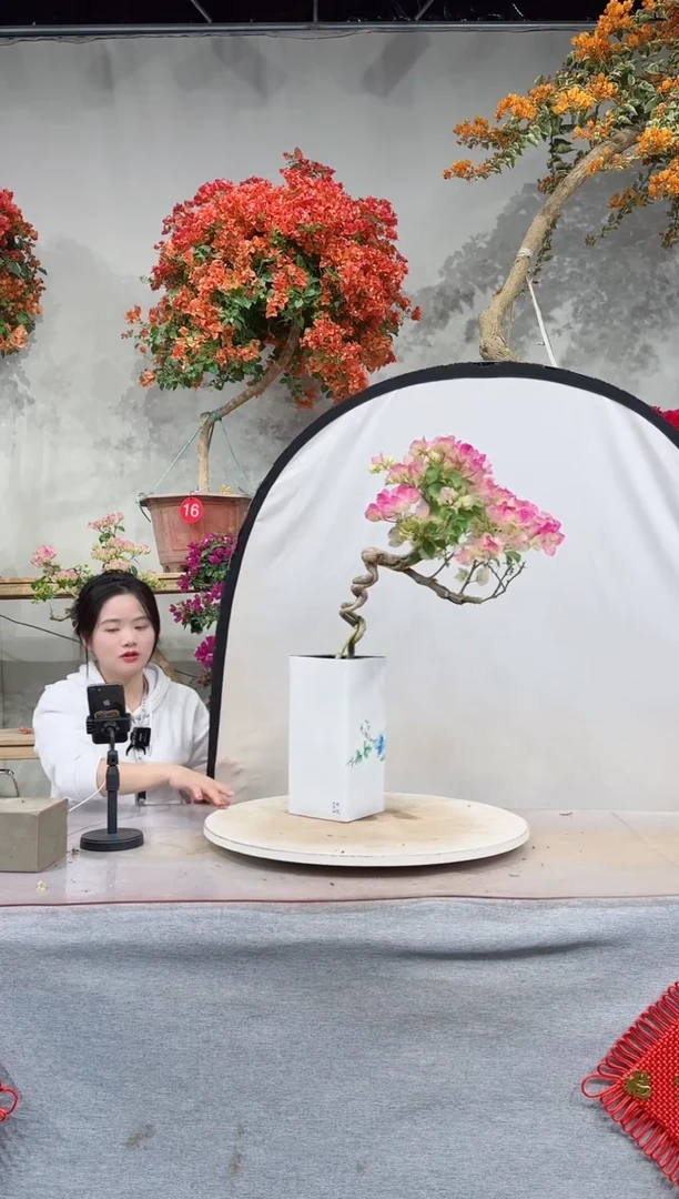 【闪购商品】盆景绿叶樱花