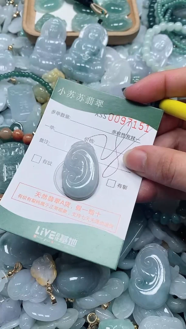 【闪购商品】翡翠颈饰未镶嵌闪购商品0097151