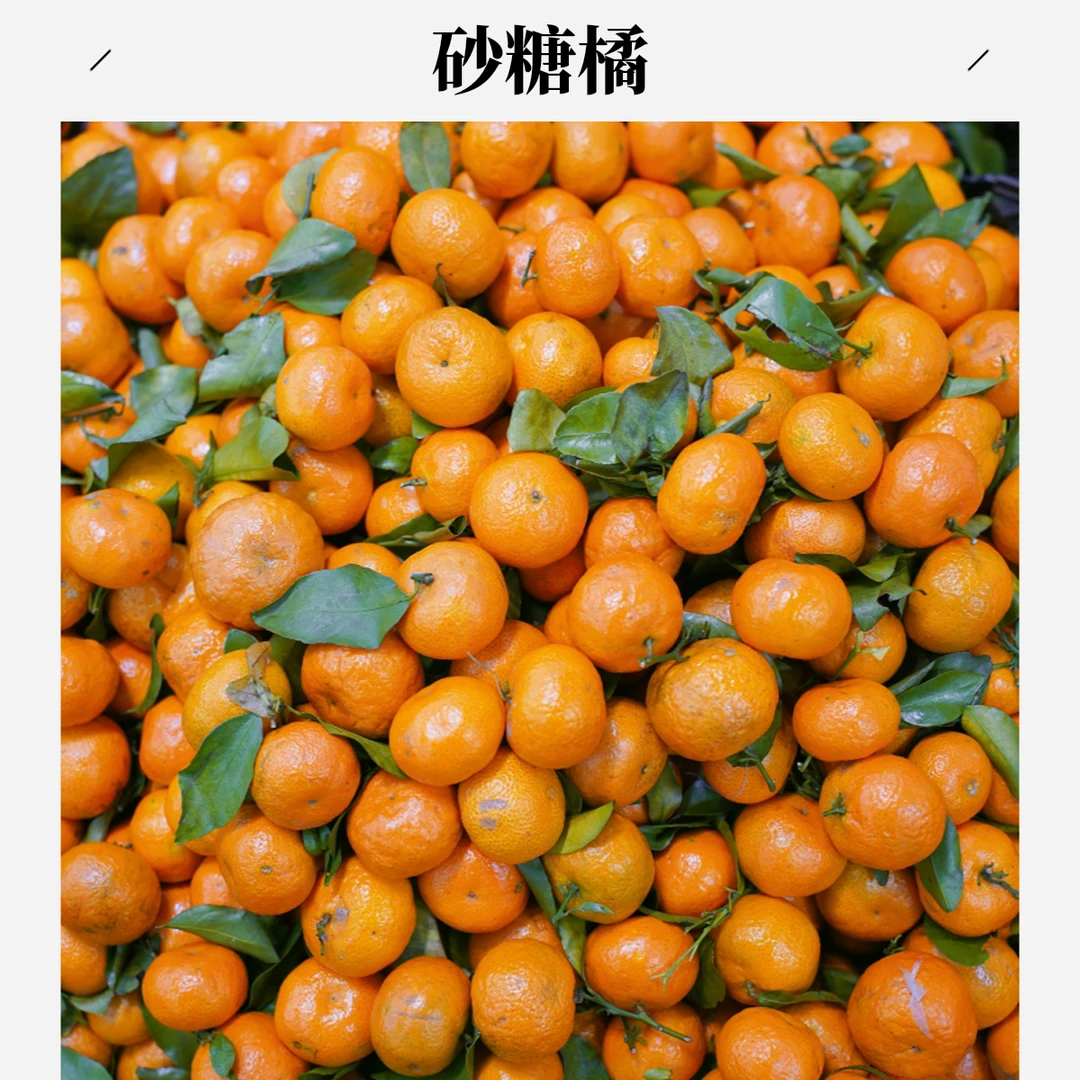 【鲜果配送】广东四会砂糖橘·  约500g/份