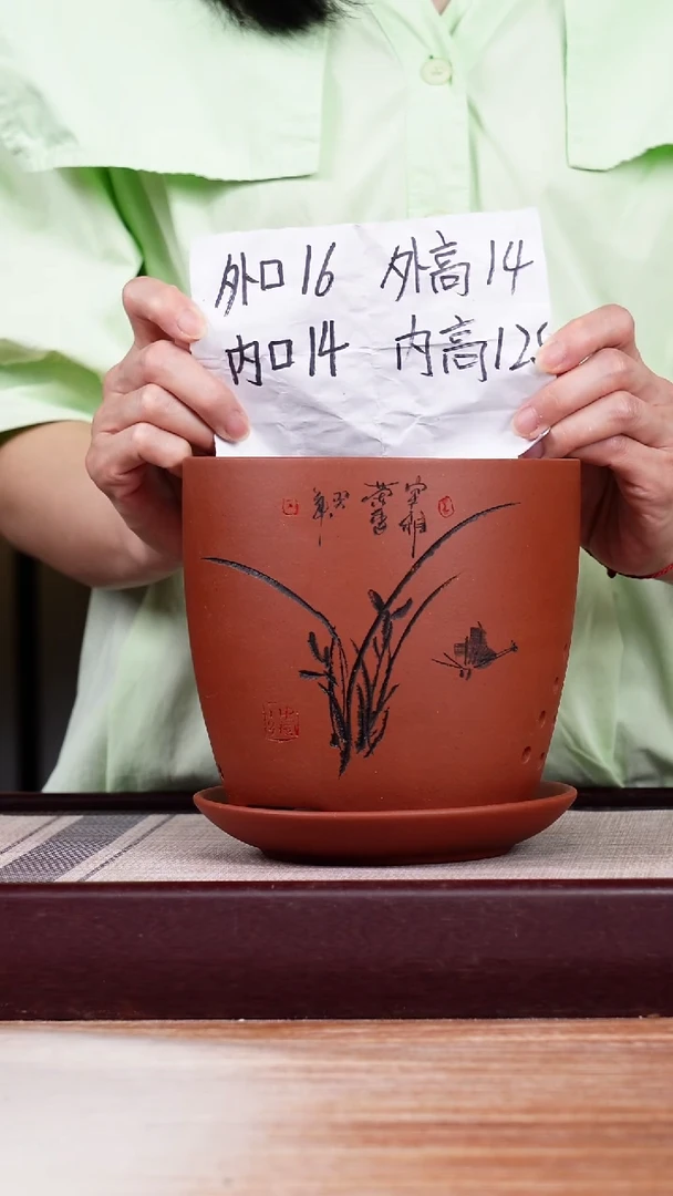 紫砂花盆清水泥君子兰2号一只带托