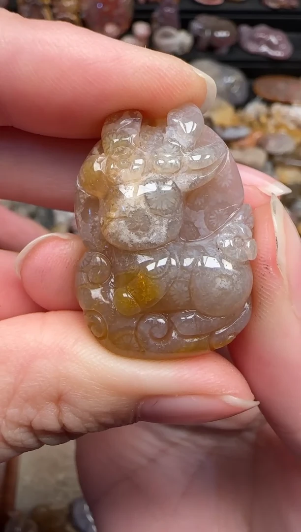 颈饰未镶嵌硅化珊瑚（珊瑚玉）356