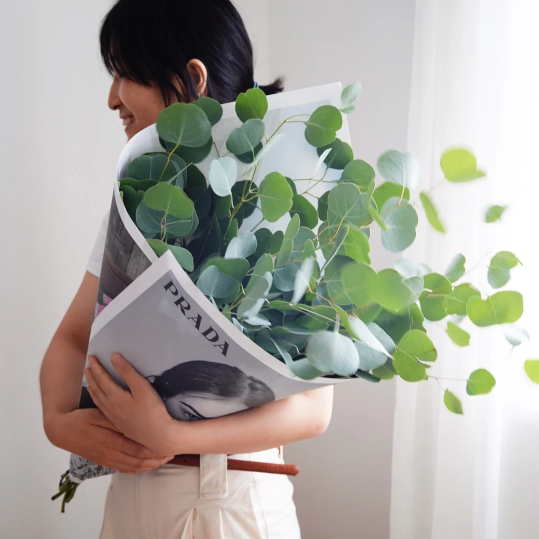 AAA级原色苹果叶尤加利叶永生花真花桉树叶圆叶桉插花花材家居装