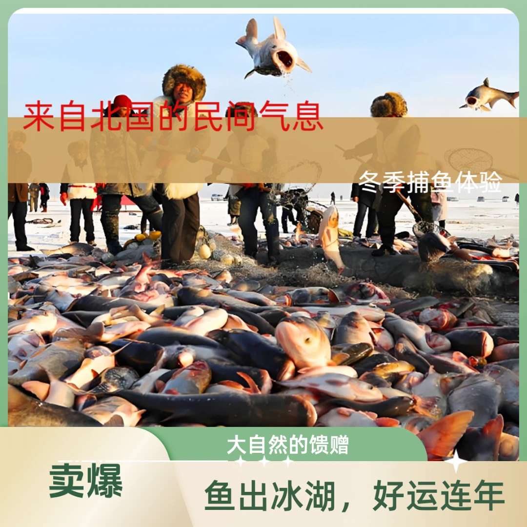 （赠长白雪雁一只）冬捕胖头鱼王（十斤礼盒）