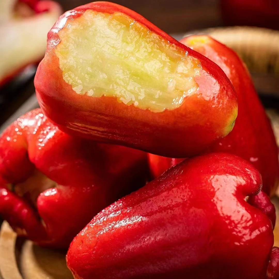 《农人老三》海南黑金刚莲雾 补水神器 顺丰包邮 450g-500g新鲜