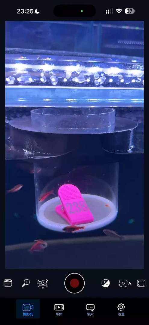 灯科鱼撸****了【238】超级红魔鬼