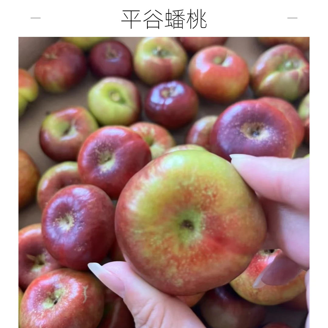 【顺丰直达】平谷正宗陆地纽扣蟠桃 脆酸甜口感 老人小孩孕妇都可以放心吃北京市