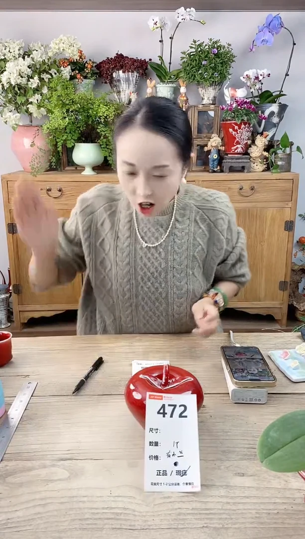 小玩子花盆直播编号472