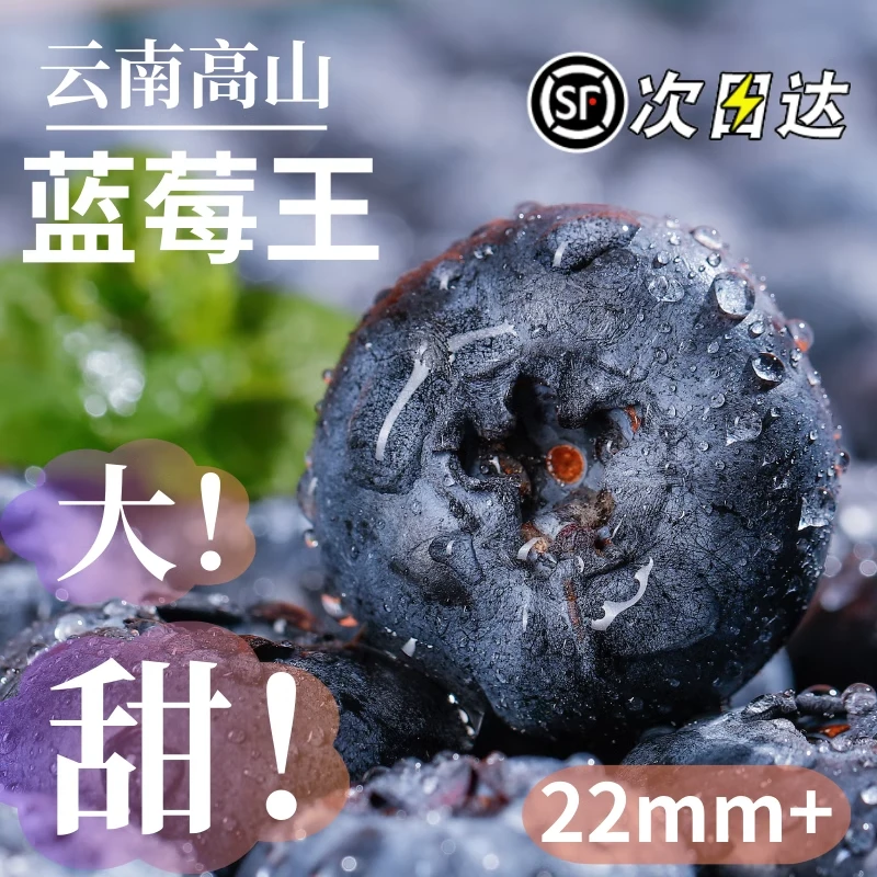 发顺丰 云南薄雾蓝莓新鲜巨无霸蓝莓8盒特大蓝莓纯甜无酸水果天妈