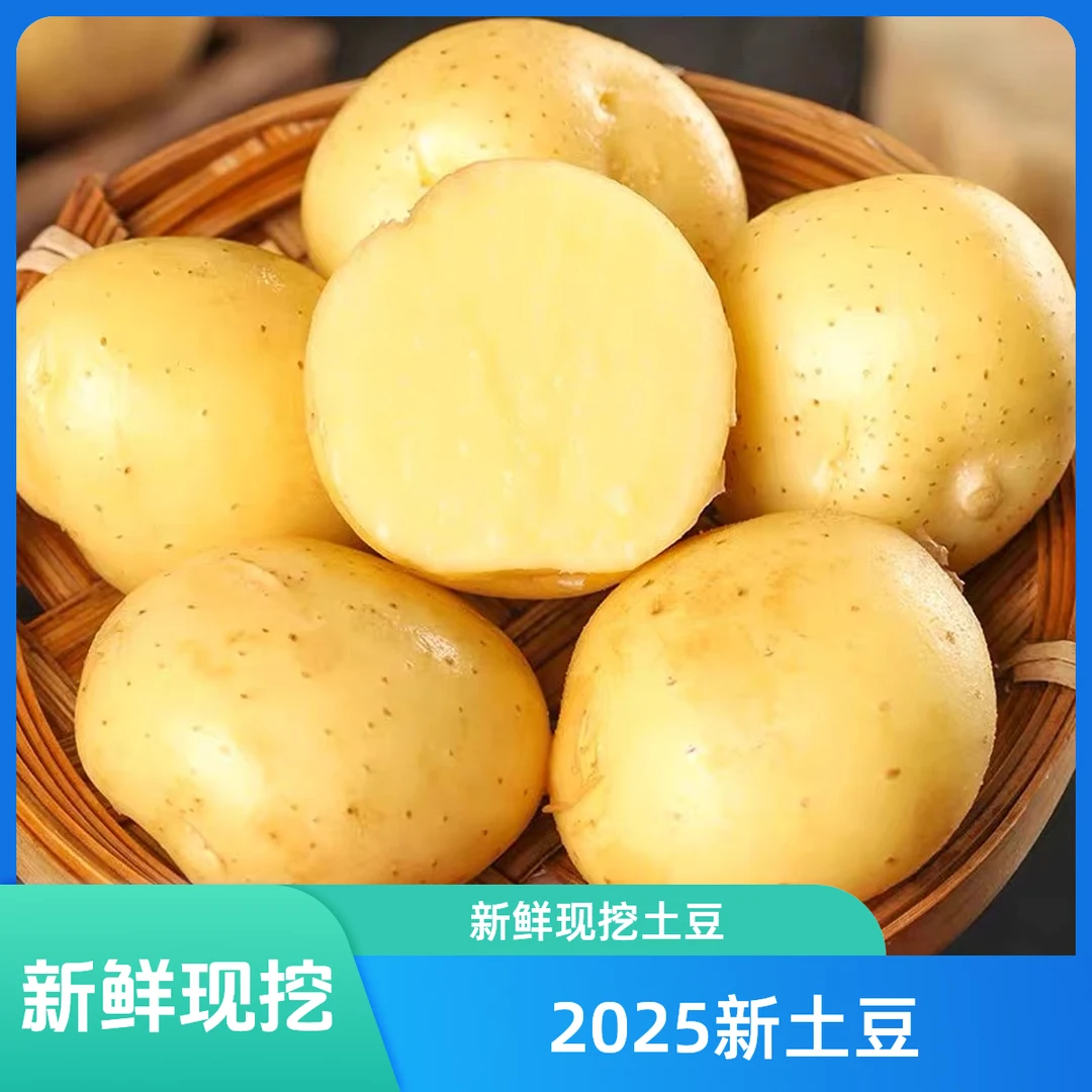 2025新土豆5斤整箱装新鲜现挖农家自种马铃薯黄皮土豆美味蔬菜
