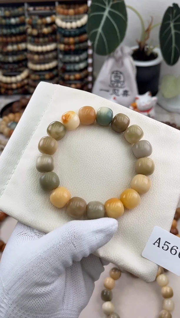 菩提根/象牙果手串a566卡15 干磨老料