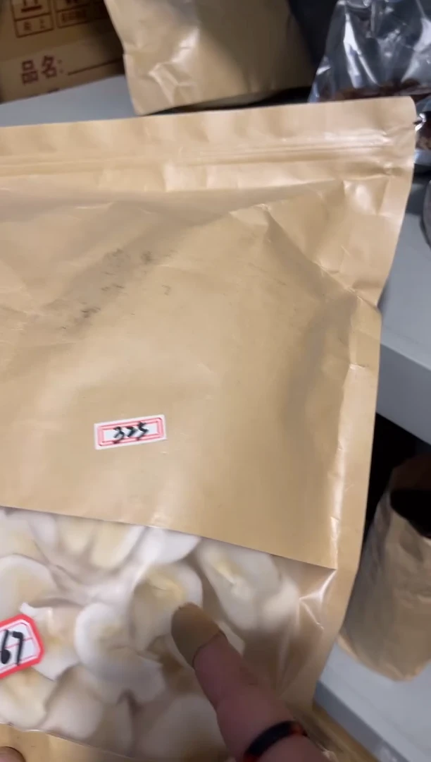 【闪购商品】陶325号 海底耶【白云推荐】